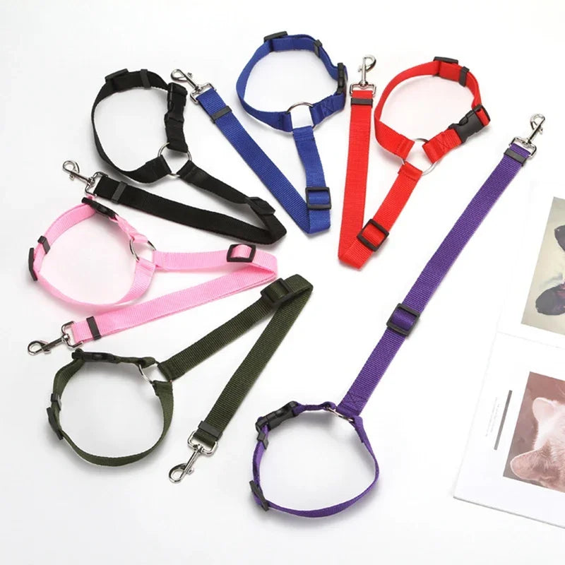 Pet Car Seat Belt