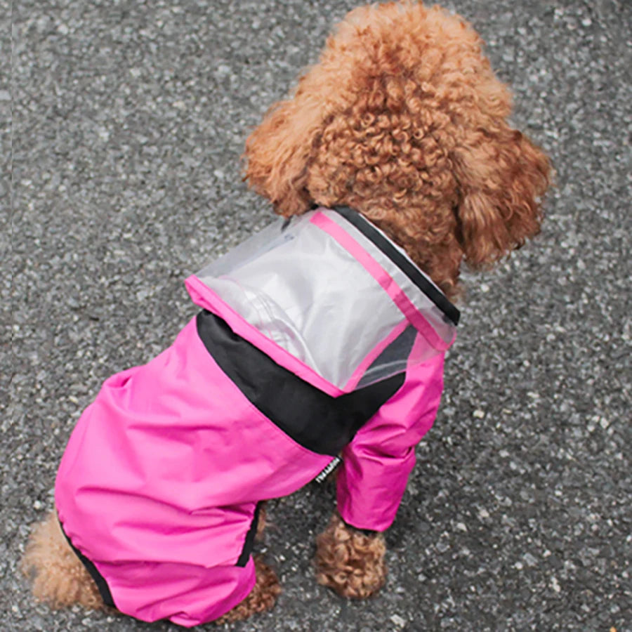 Doggy Raincoat