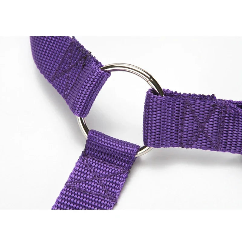 Pet Car Seat Belt