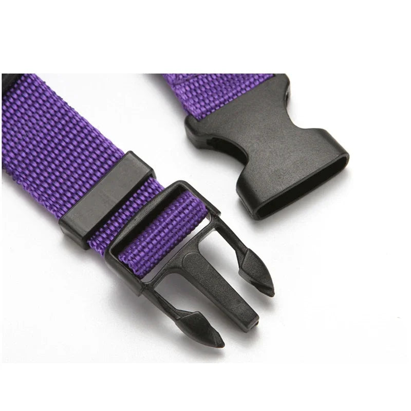 Pet Car Seat Belt