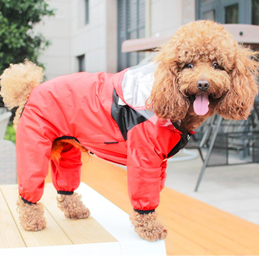 Doggy Raincoat