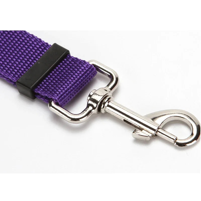 Pet Car Seat Belt