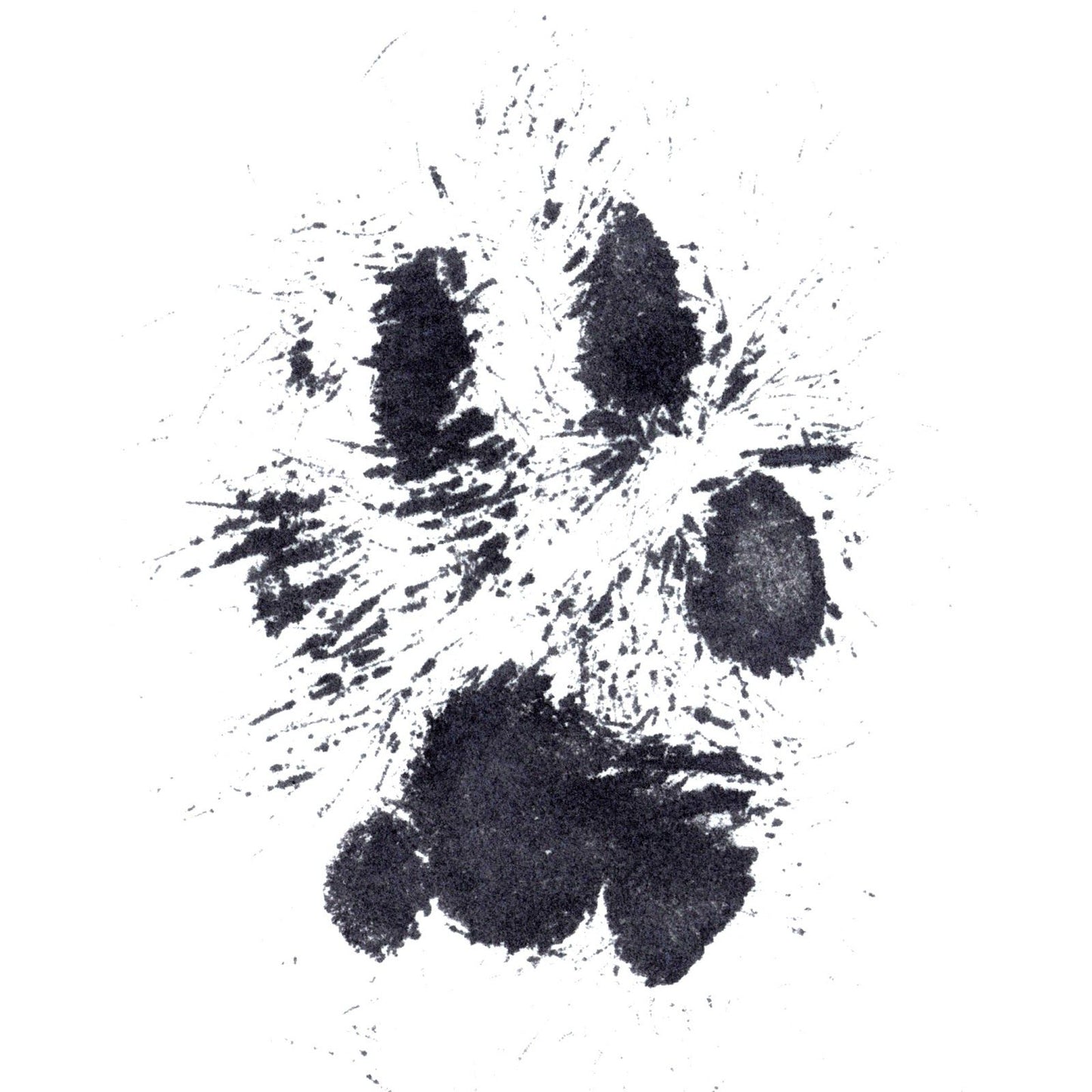 Paw Print Ink Pad