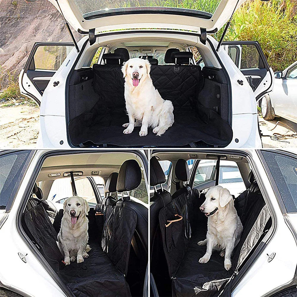 Canine CarGuard
