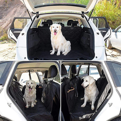 Canine CarGuard