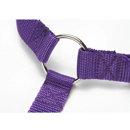 Pet Car Seat Belt