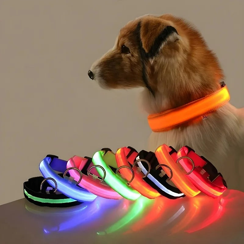 Glowing Dog Collar