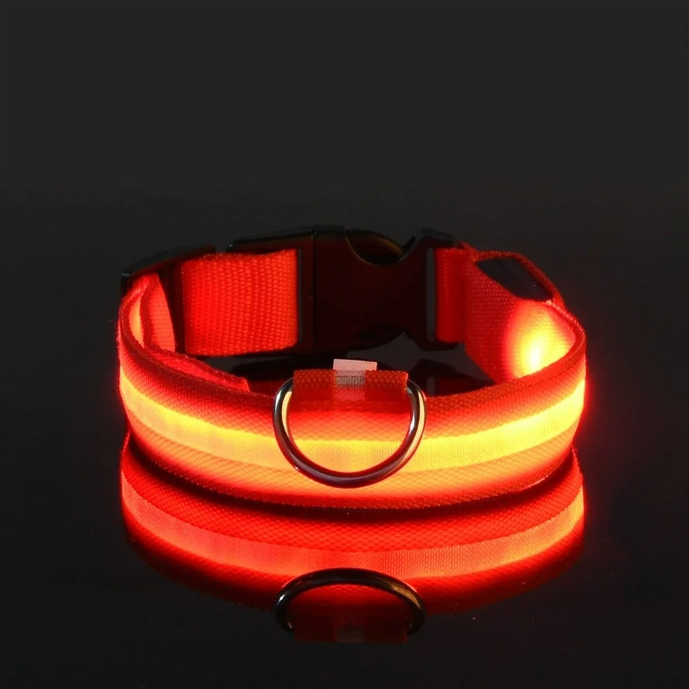 Glowing Dog Collar