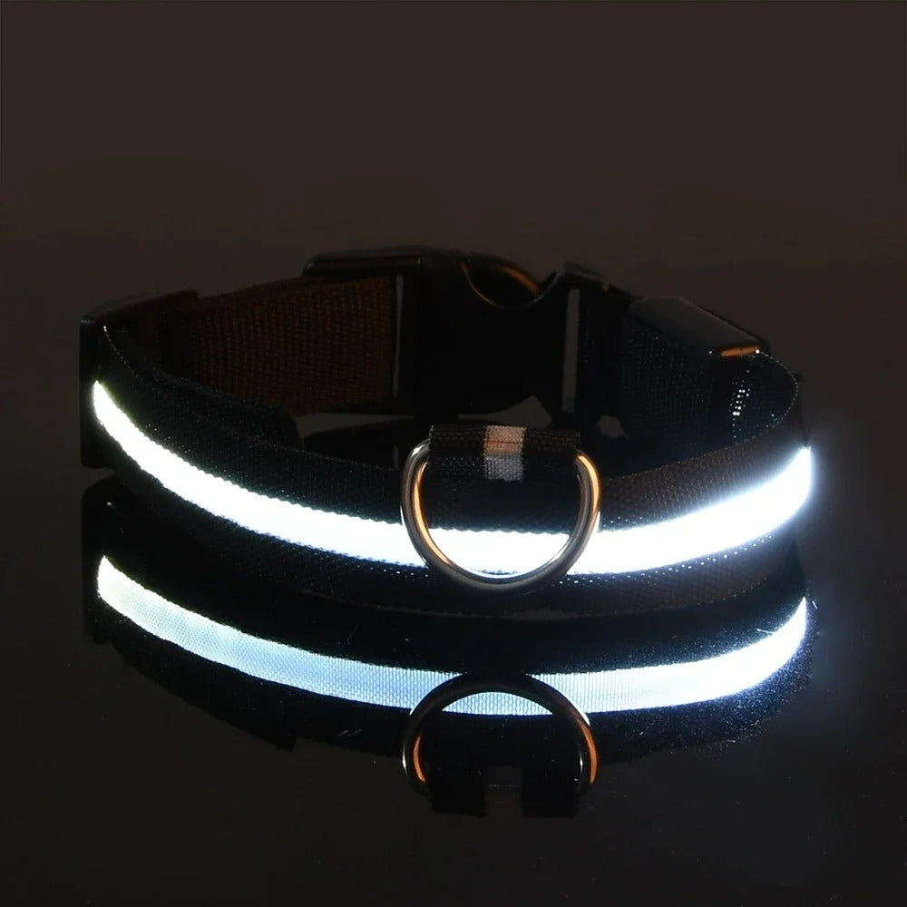 Glowing Dog Collar